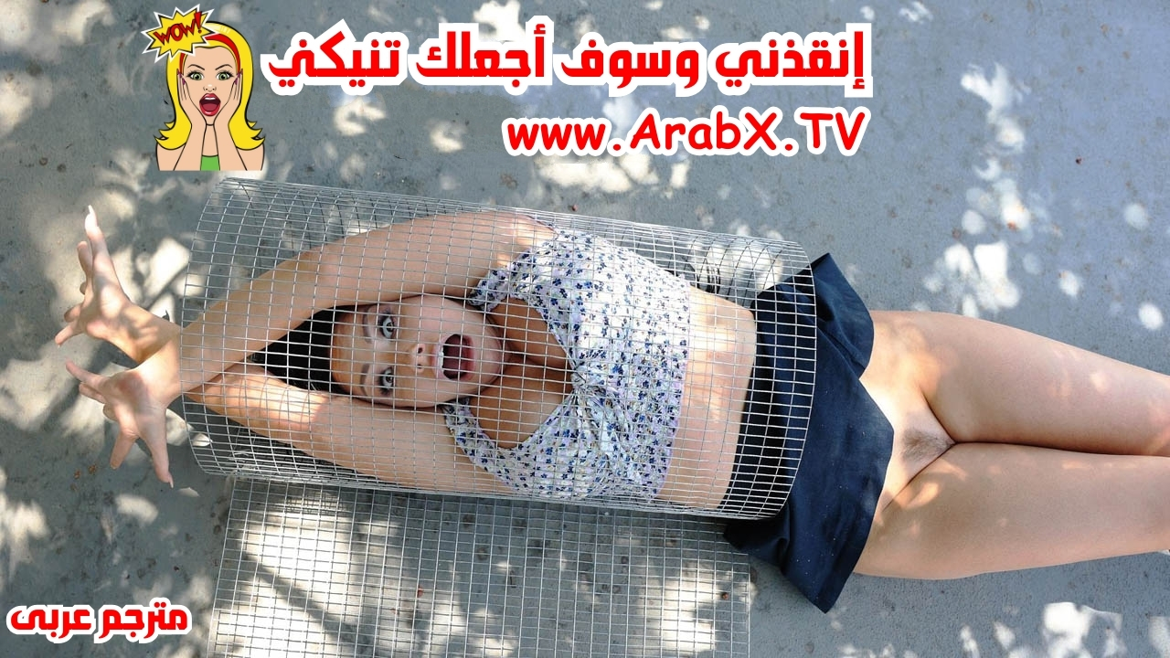 سكس مترجم